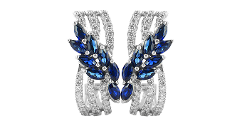 Earrings image cutout